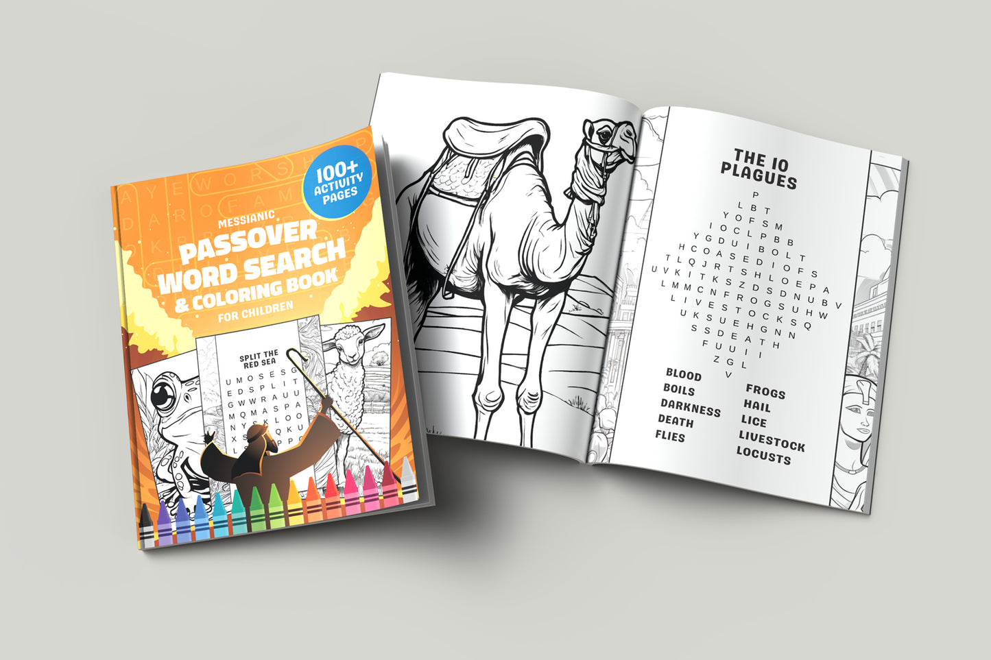 Messianic Passover Word Search and Coloring Book for Children