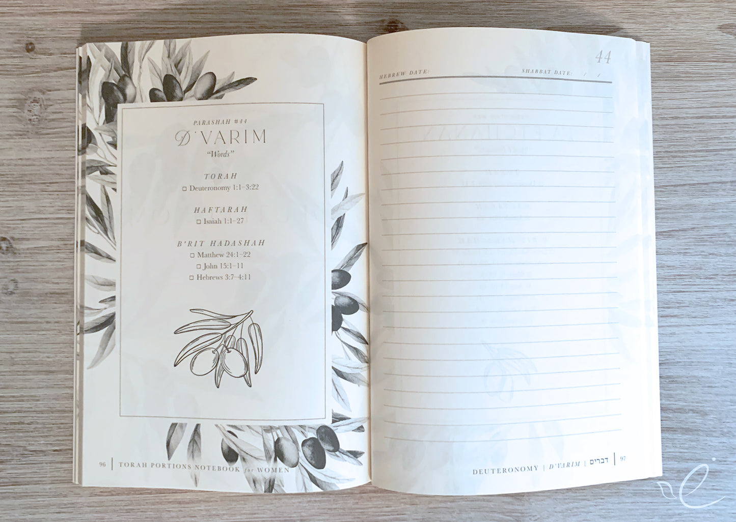Torah Portions Notebook for Women: Olive Branch Design, Paperback