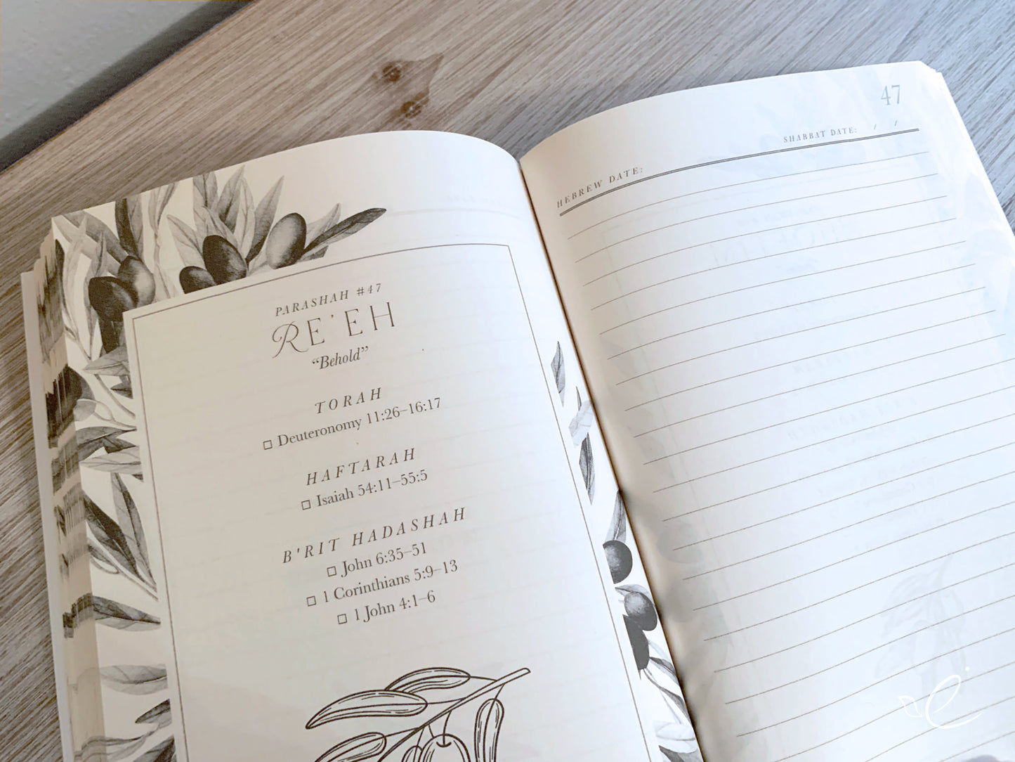 Torah Portions Notebook for Women: Olive Branch Design, Paperback