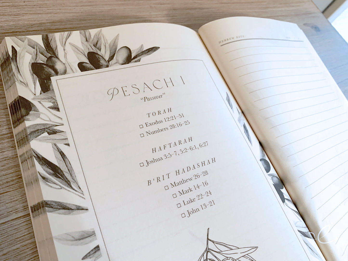 Torah Portions Notebook for Women: Olive Branch Design, Paperback