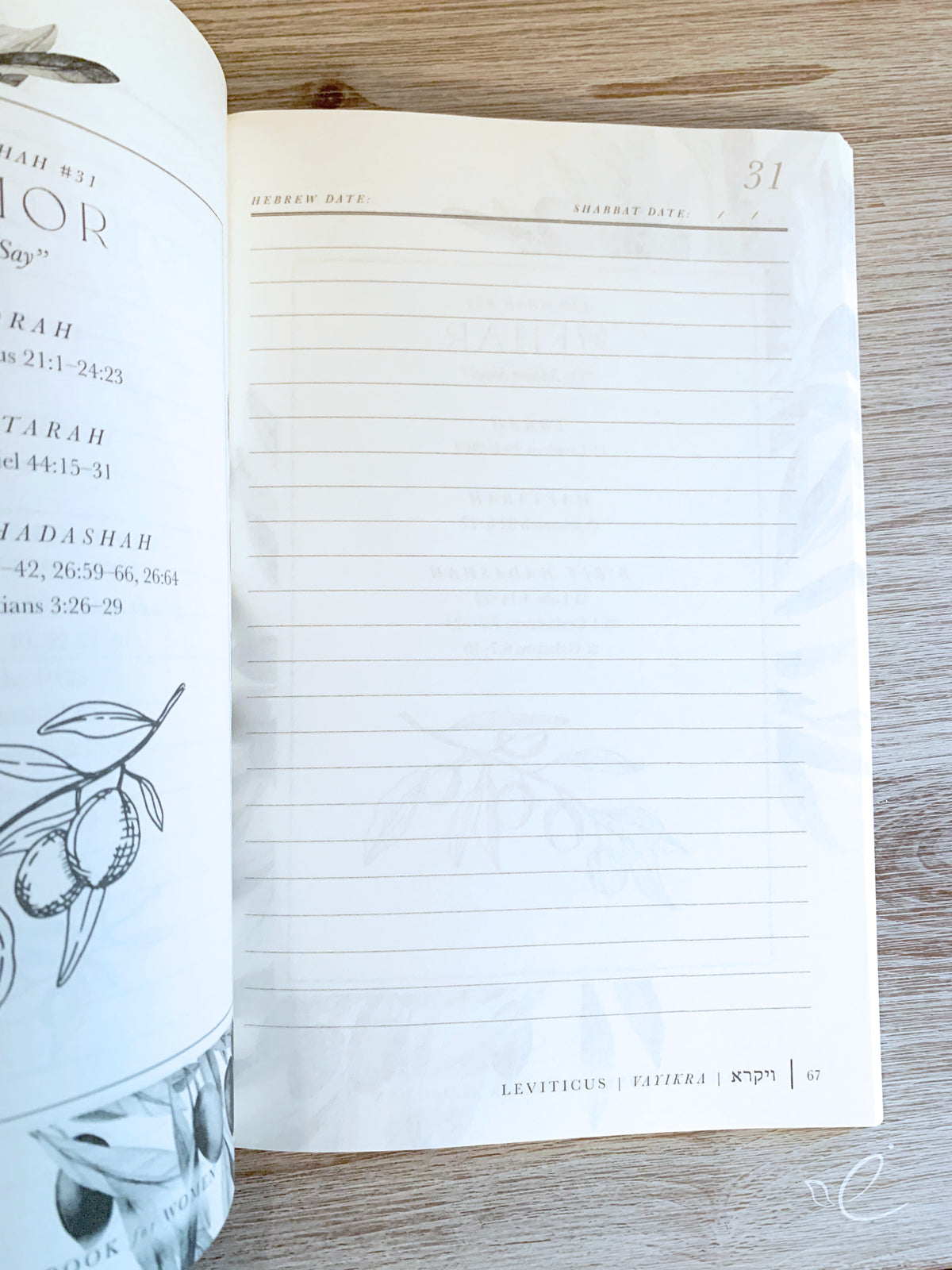 Torah Portions Notebook for Women: Olive Branch Design, Paperback